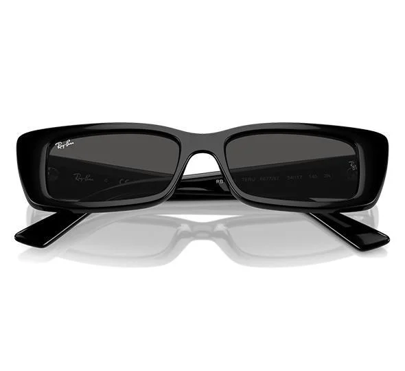 Ray-Ban TERU RB4425 black sunglasses with bio-nylon dark lenses on a white background, embodying a retro vibe.