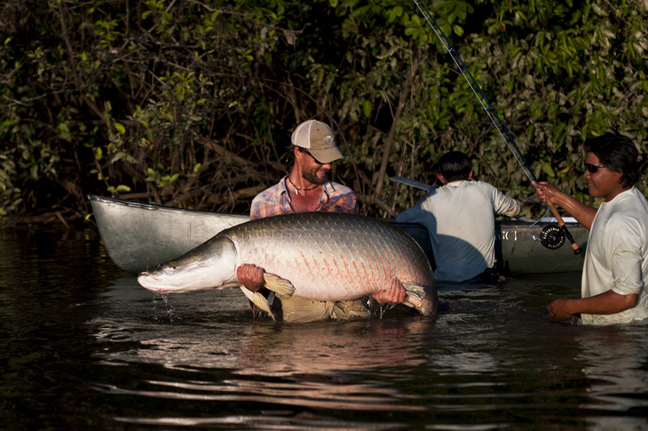 protect guyana costa fish